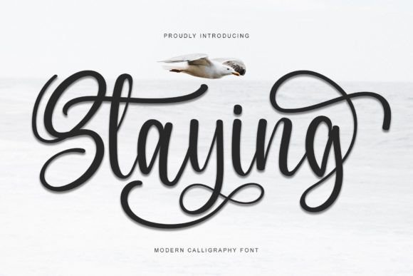 Elevate Editorial Design with the Staying Typeface