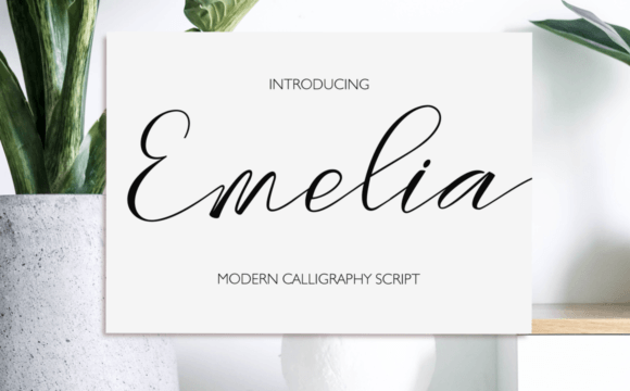 Emelia: The Modern Script Font for Polished Branding
