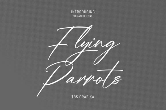 Flying Parrots Font: The Perfect Script for Handmade Brands