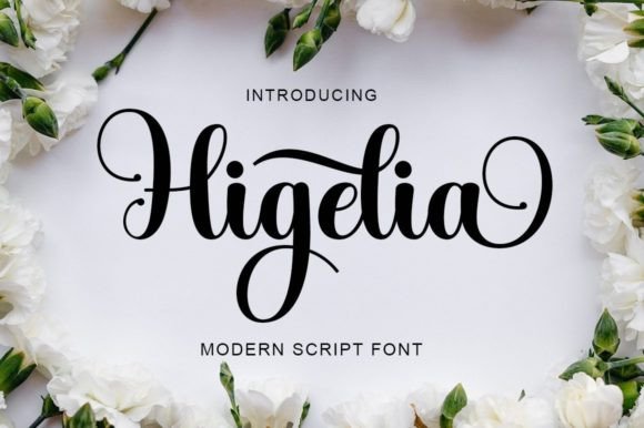 Higelia: An Elegant Script Font for Editorial Design