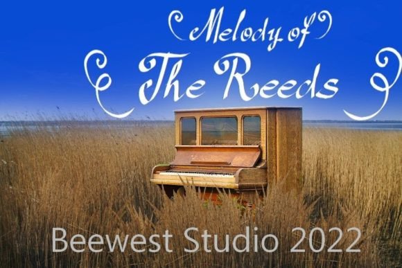 Reeds: The Authentic Script Font for Bold Branding