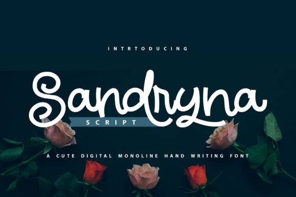 Sandryna Font Review: A Whimsical Script for Makers