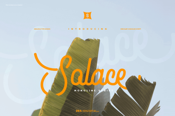 Solace: A Monoline Script Font for Editorial Titles
