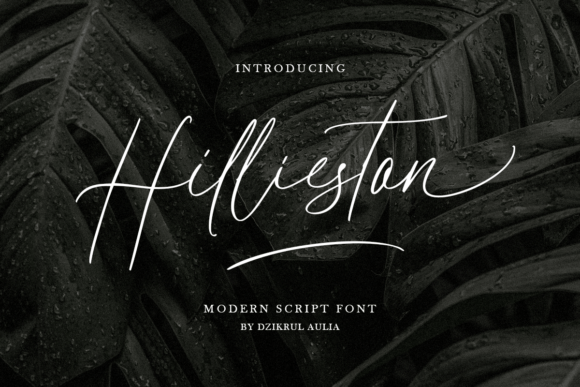 Upgrade Your Brand with Hillieston Signature Font